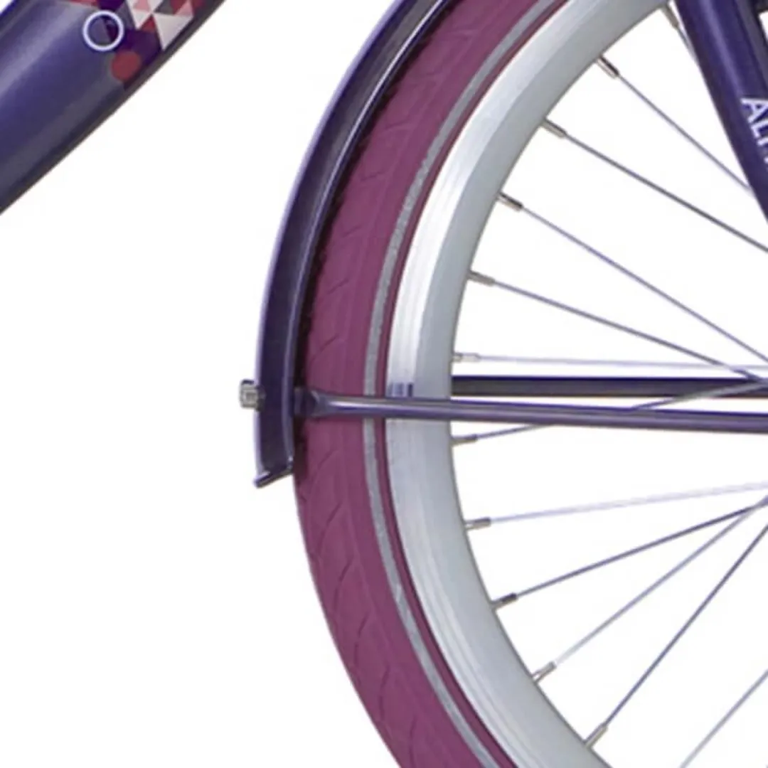 Alpina Spatbordset 22 Clubb