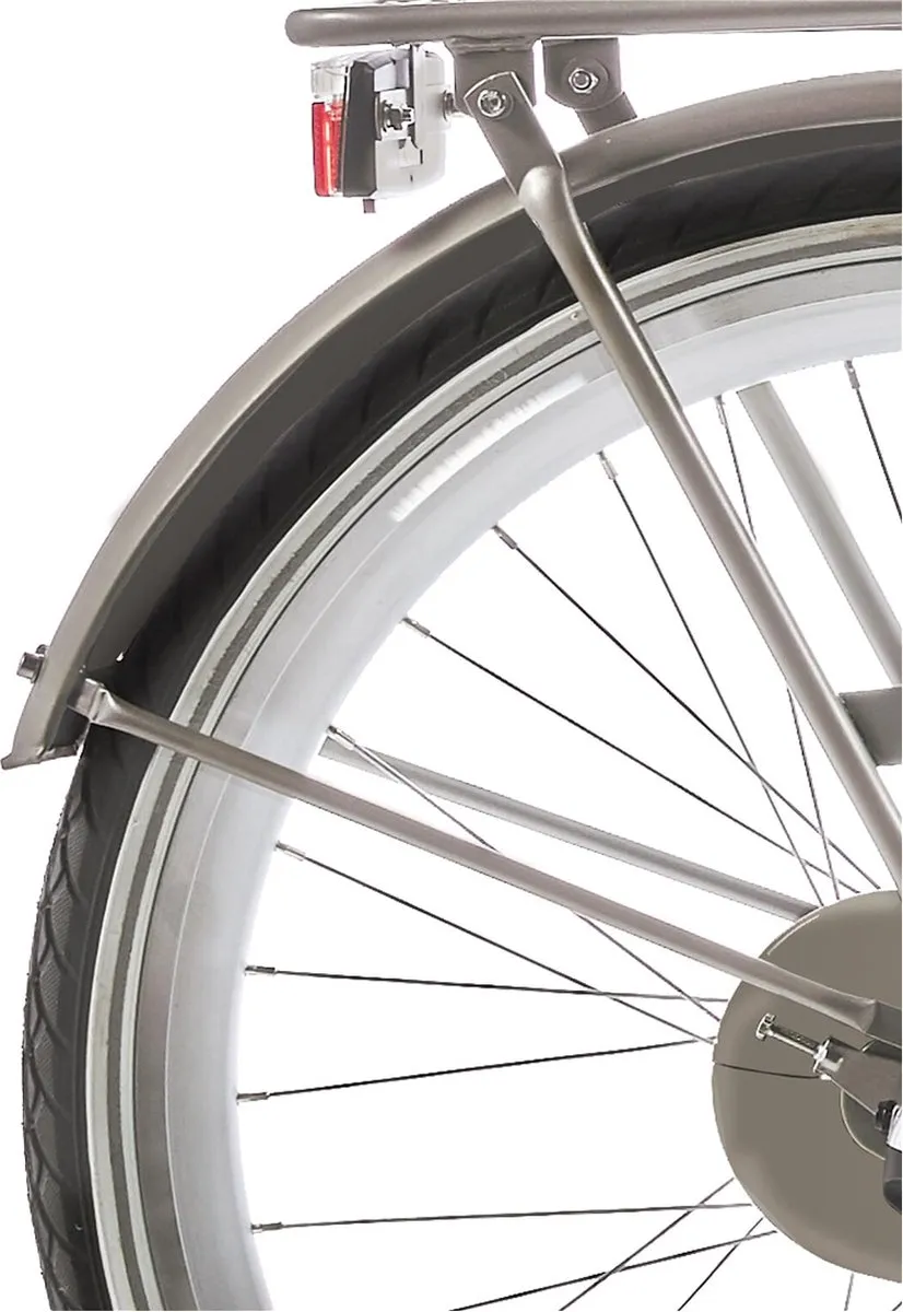 Alpina Spatbordset 26 Clubb Gold - 26 Inch