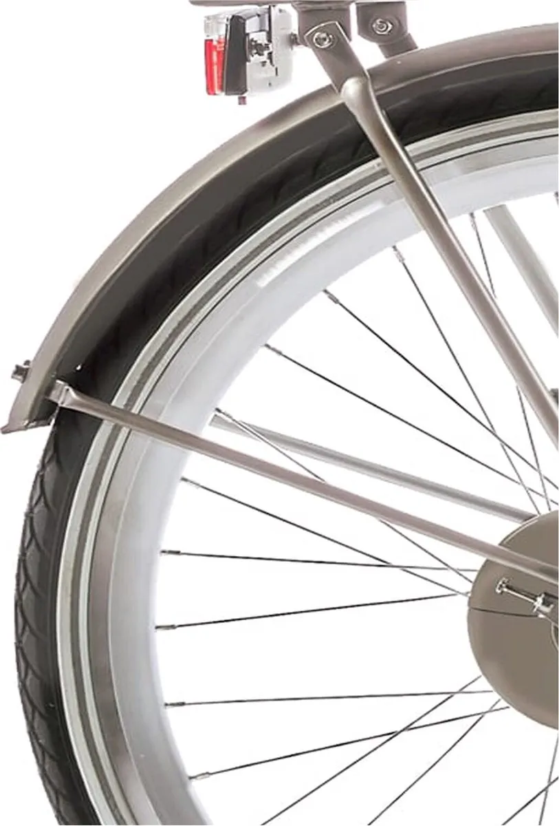 Alpina Spatbordset 26 Clubb Gold - 26 Inch