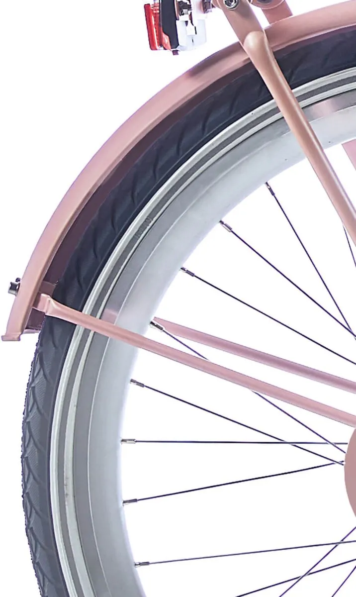 Alpina Spatbordset 26 Clubb Gold - 26 Inch