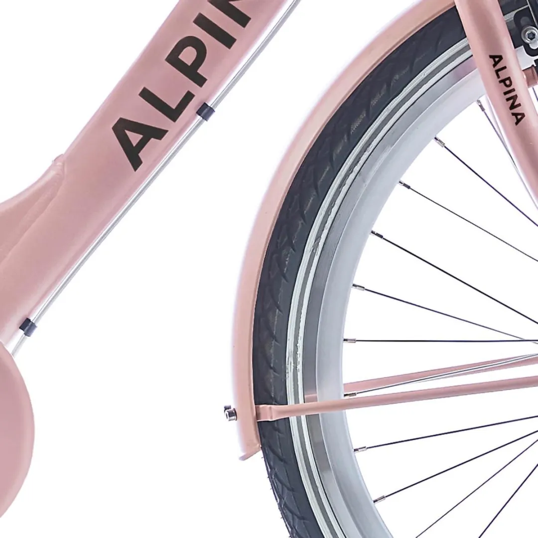 Alpina Spatbordset 26 Clubb Gold