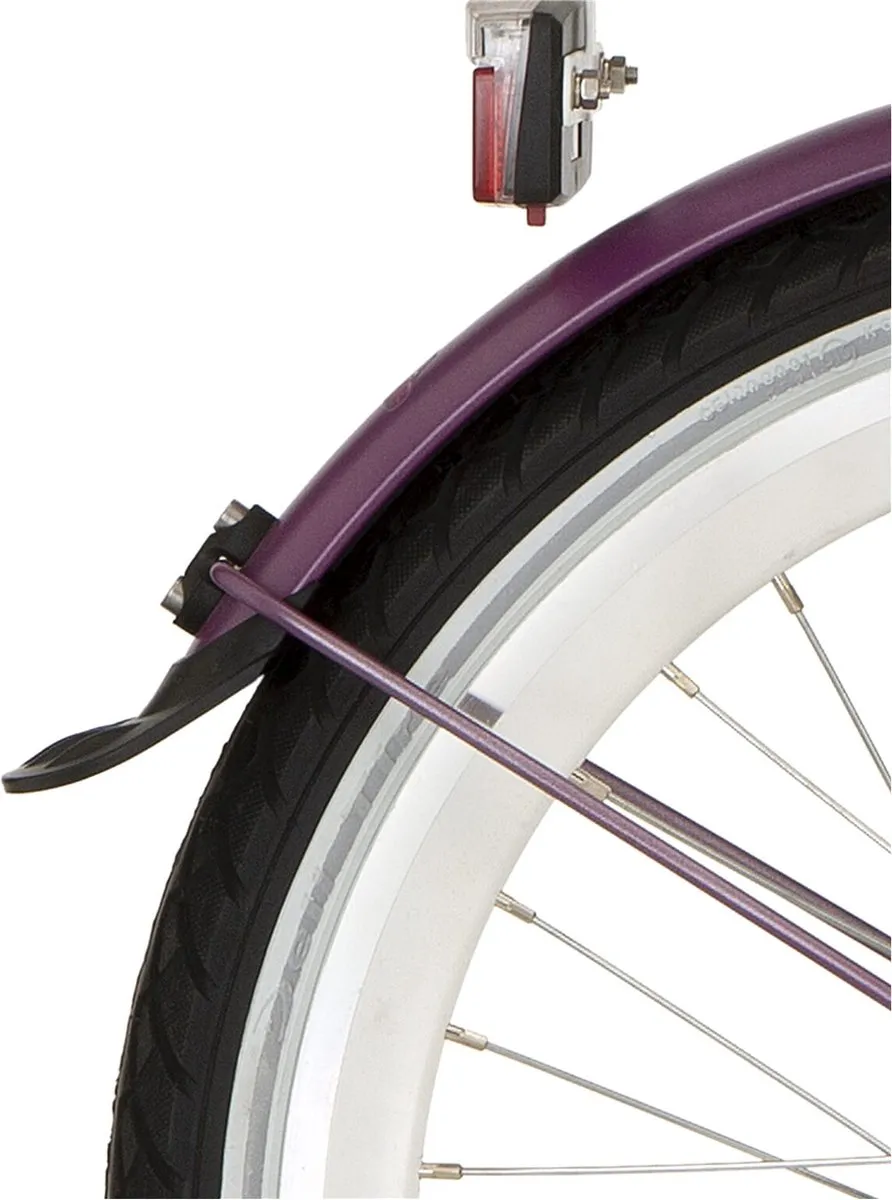 Alpina Spatbordset 20 Inch