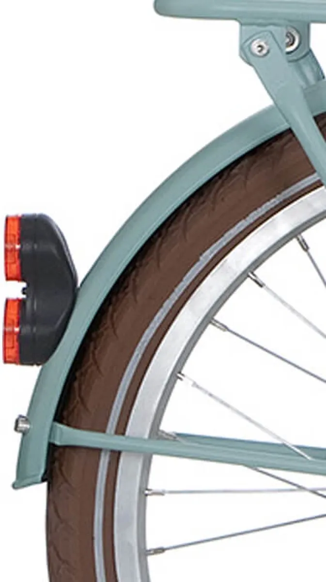 Alpina Spatbordset 22" Soft Mint Matt
