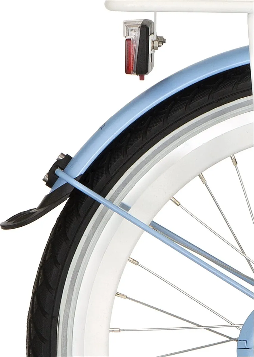 Alpina Spatbordset 20"