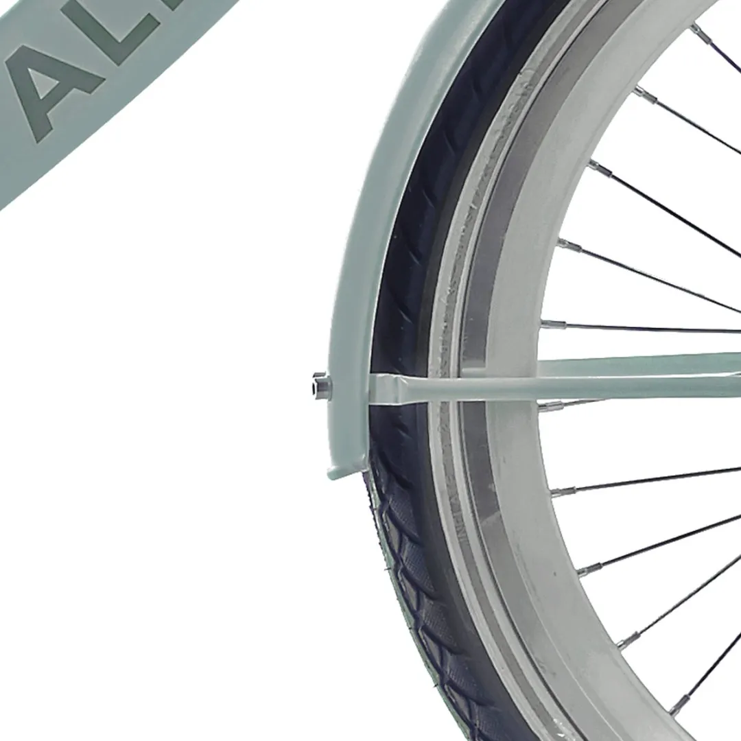 Alpina Spatbordset 22 Clubb Softmintmatt