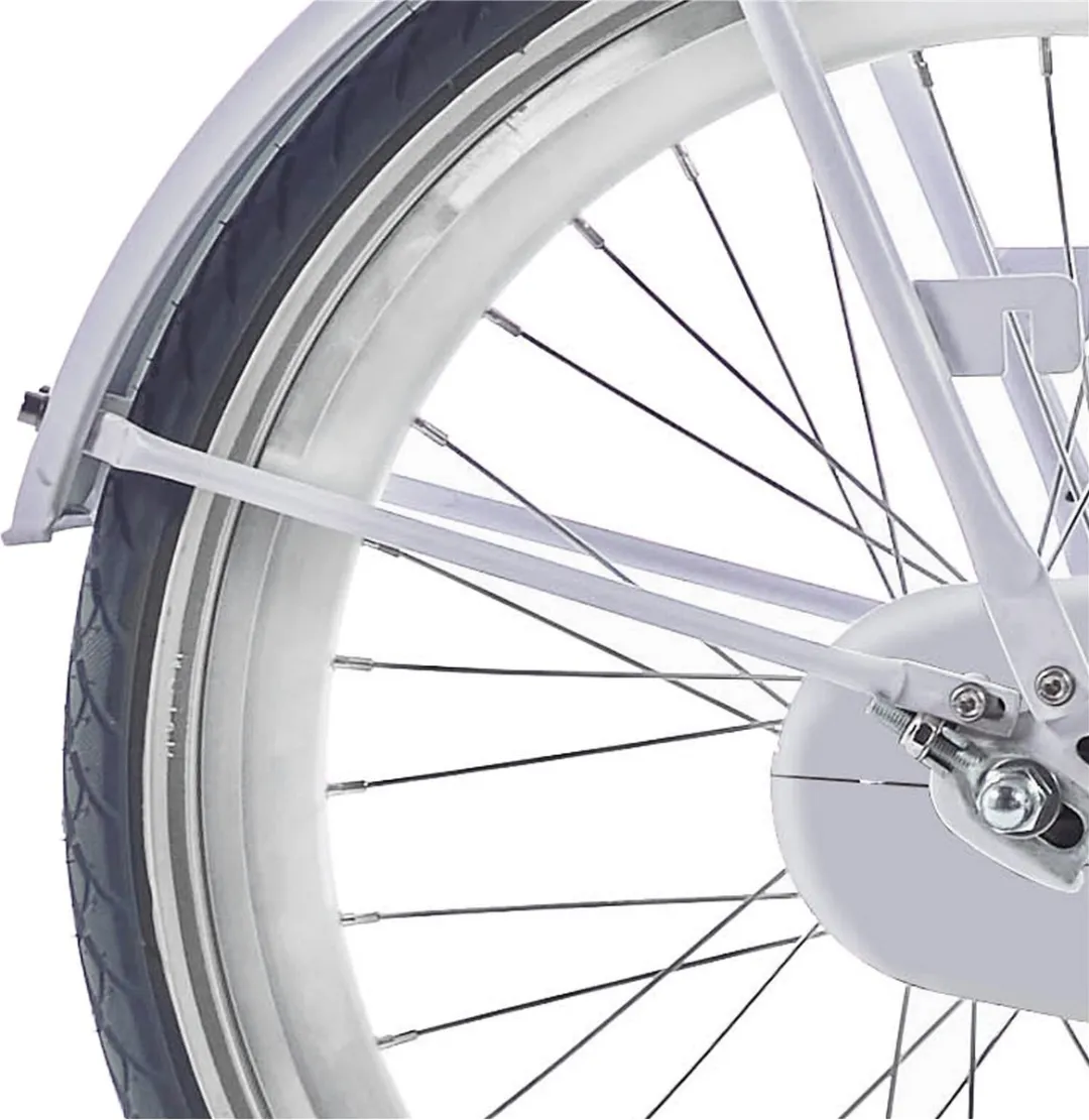 Alpina Spatbordstang Set 20 Clubb Frostypink