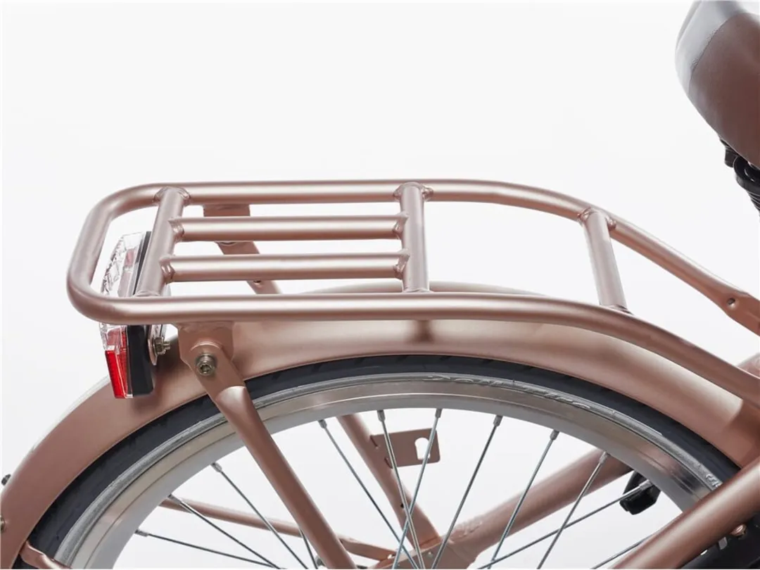 Alpina Clubb Meisjesfiets 20" - 3 Versnellingen - Roze Matt - afbeelding 6 van 6