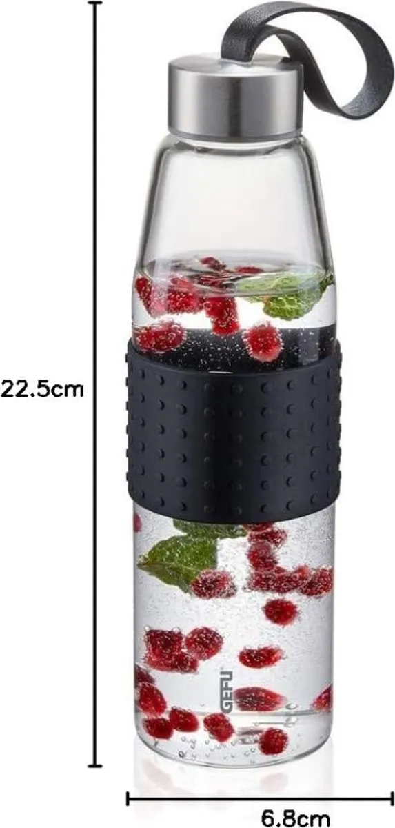 GEFU Glazen Drinkfles 500ml - Zilver