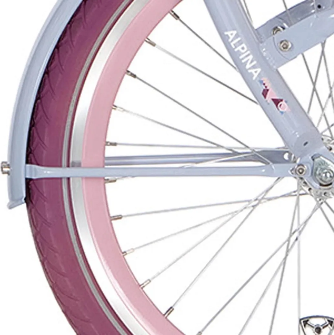 Alpina Spatbordstangset 20" Clubb