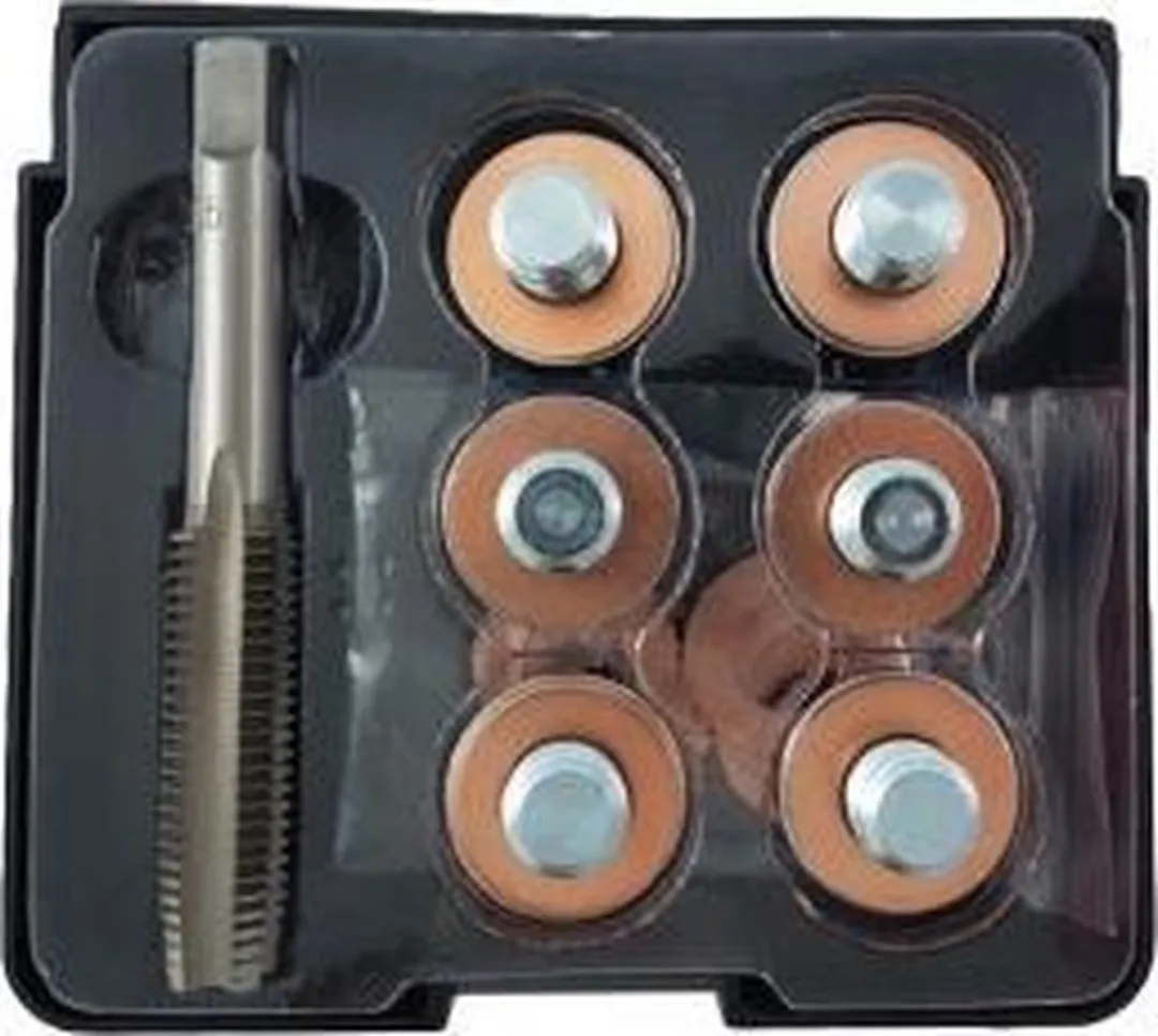 Weber Tools Carterplug Reparatie set WT-2117 - 19 Stuks