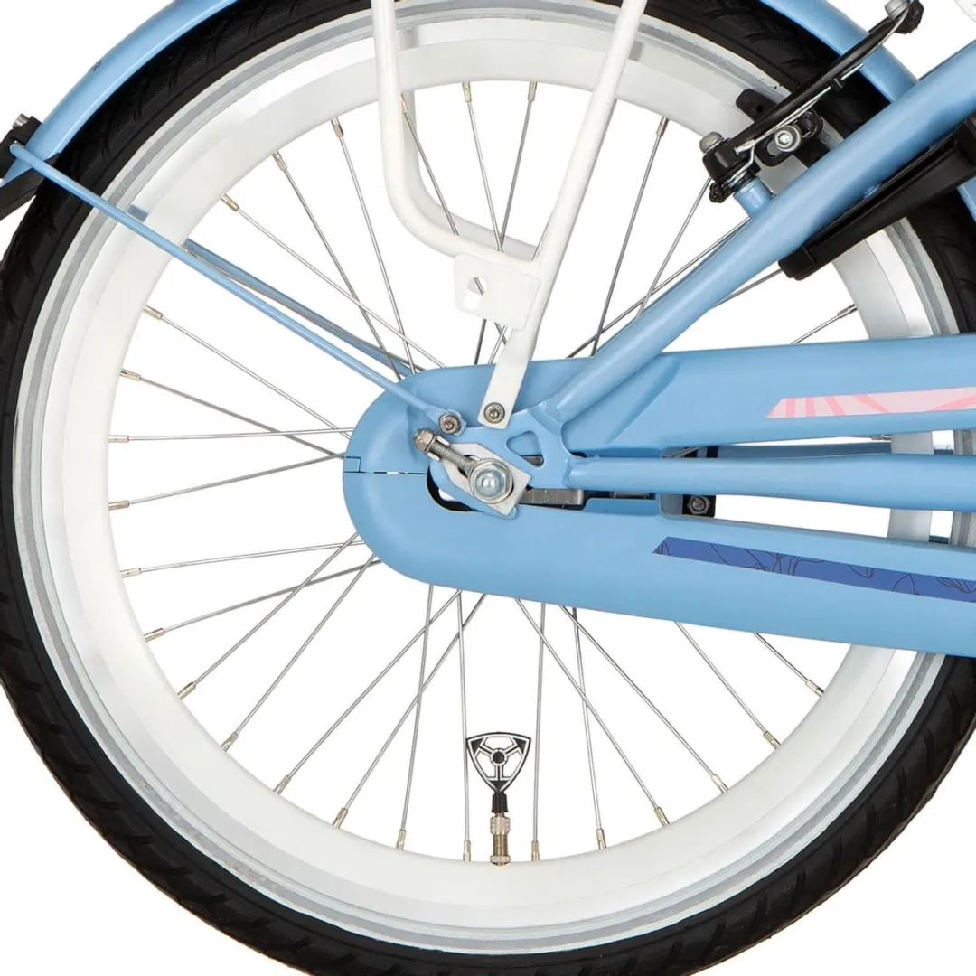 Alpina Achterwiel 22" Remnaaf J19DB