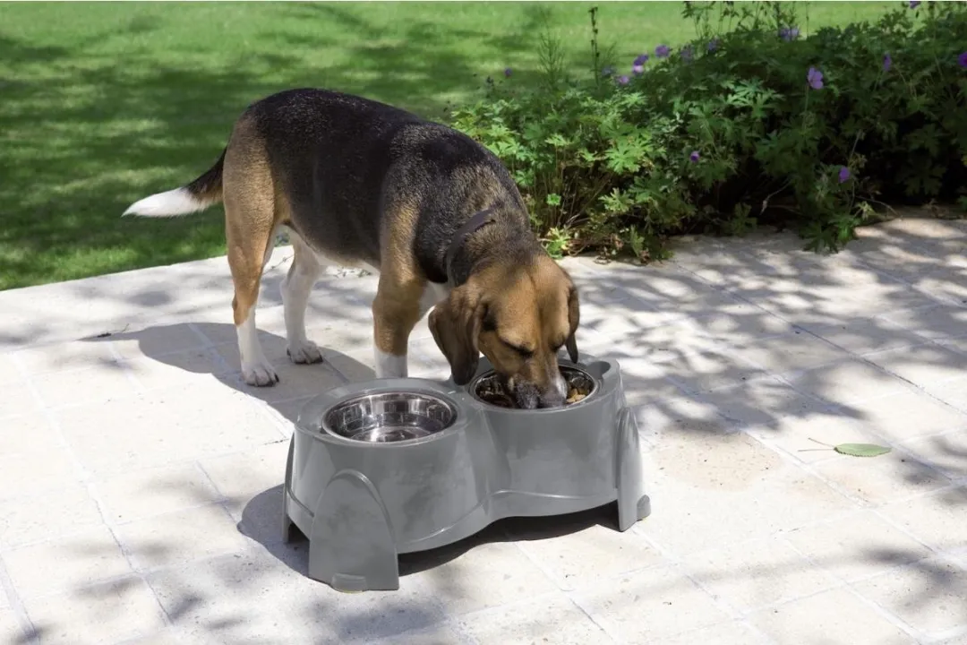 Savic ergo feeder grijs 850 ml 2x17 cm