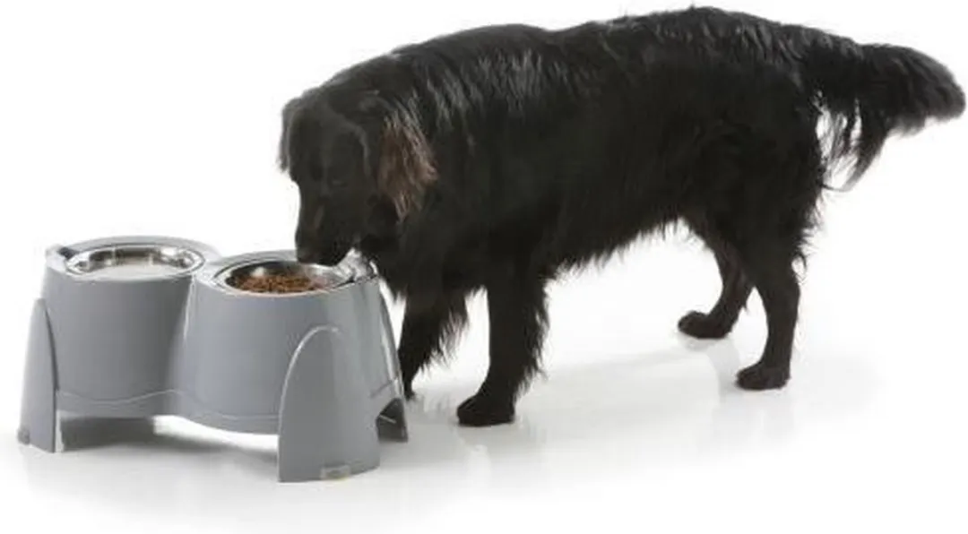 Savic ergo feeder grijs 850 ml 2x17 cm