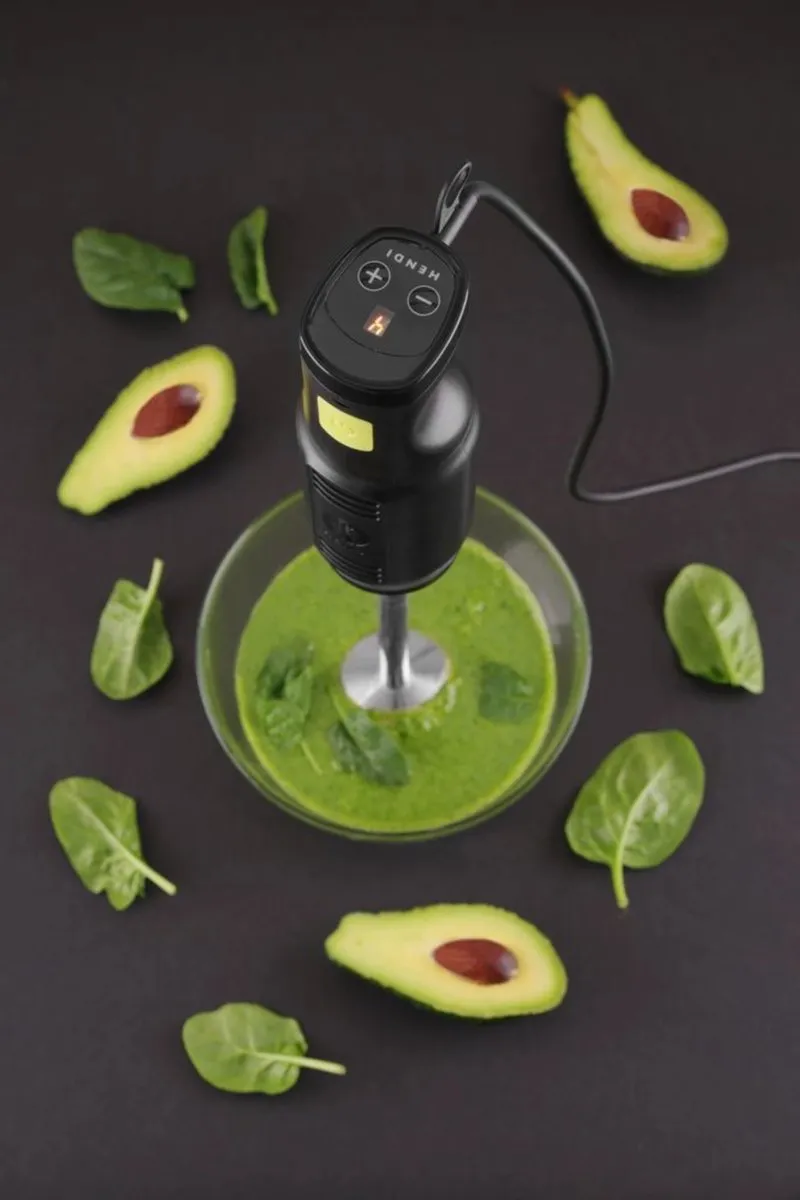 Hendi Krachtige Staafmixer 250W - 6 Snelheden - Zwart