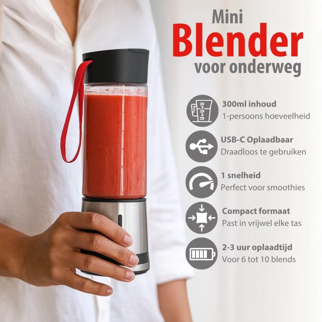 Alpina Portable Blender 300ml - Zilver