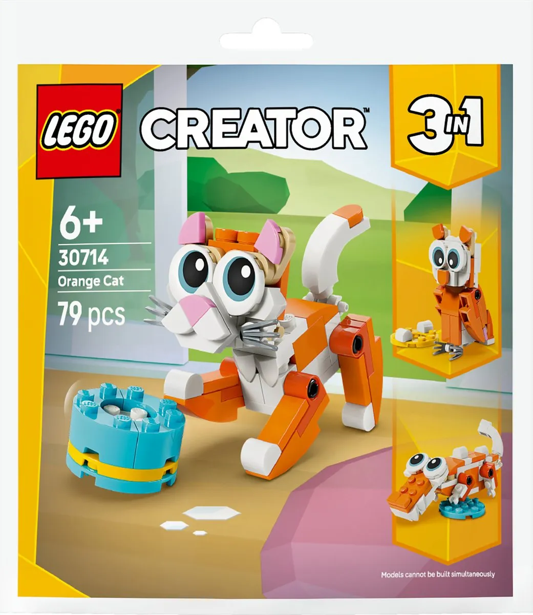 LEGO Creator Oranje Kat 30714 - 79 Stukken