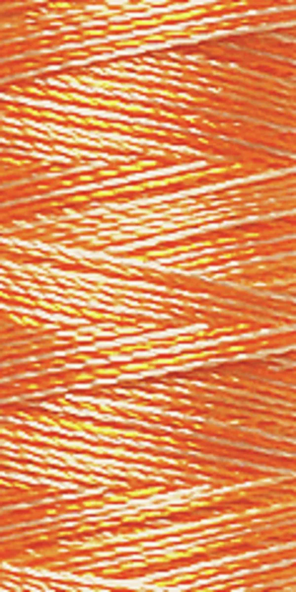 Gutermann Sulky Multi Borduurgaren 200m - Multicolor