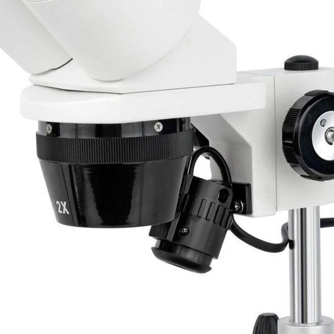 Bresser Erudit ICD Microscoop 30.5 - Wit