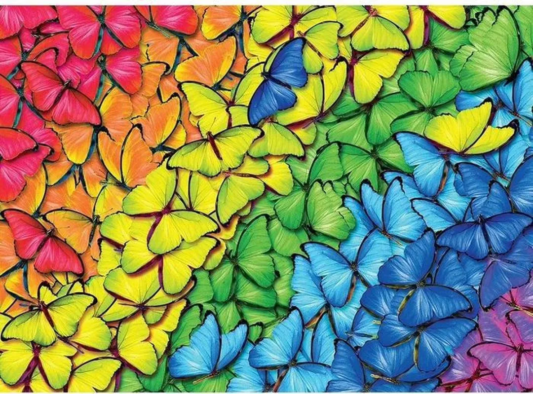 Eurographics Vlinder Regenboog Puzzel 1000 Stuks - Meerkleurig