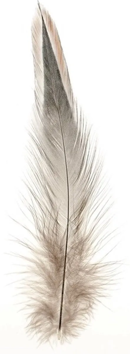 Glorex Hobby Decoratieveren Natuurlijk
