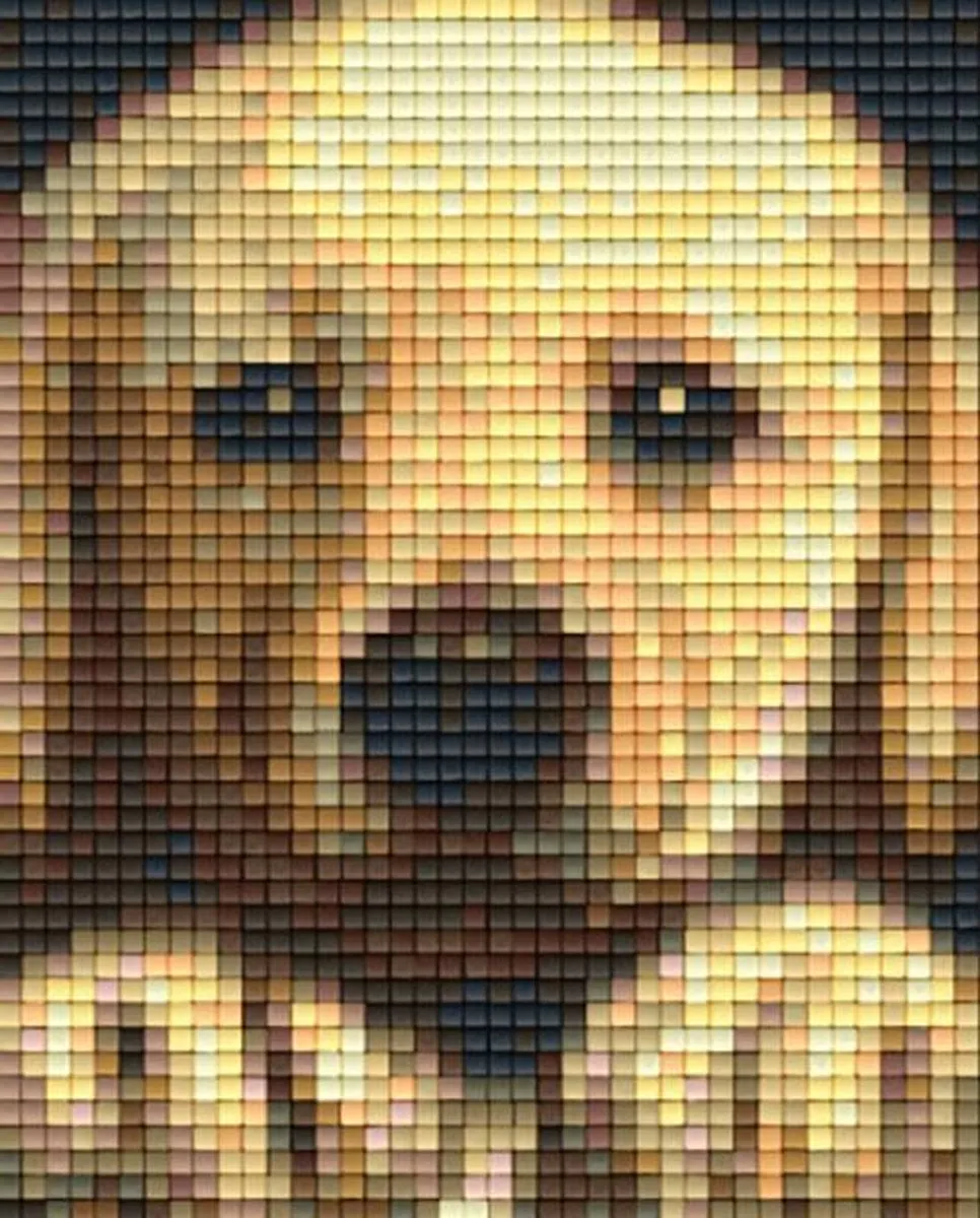Pixelhobby Goldenretriever Puppy Geschenkverpakking