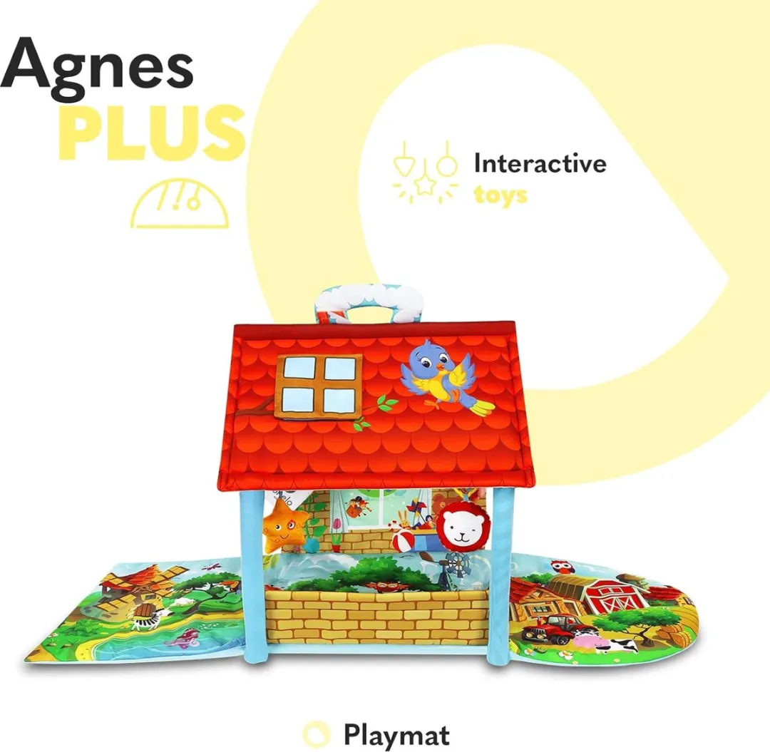 Lionelo Agnes Plus Speelkleed 2in1 - Multicolor