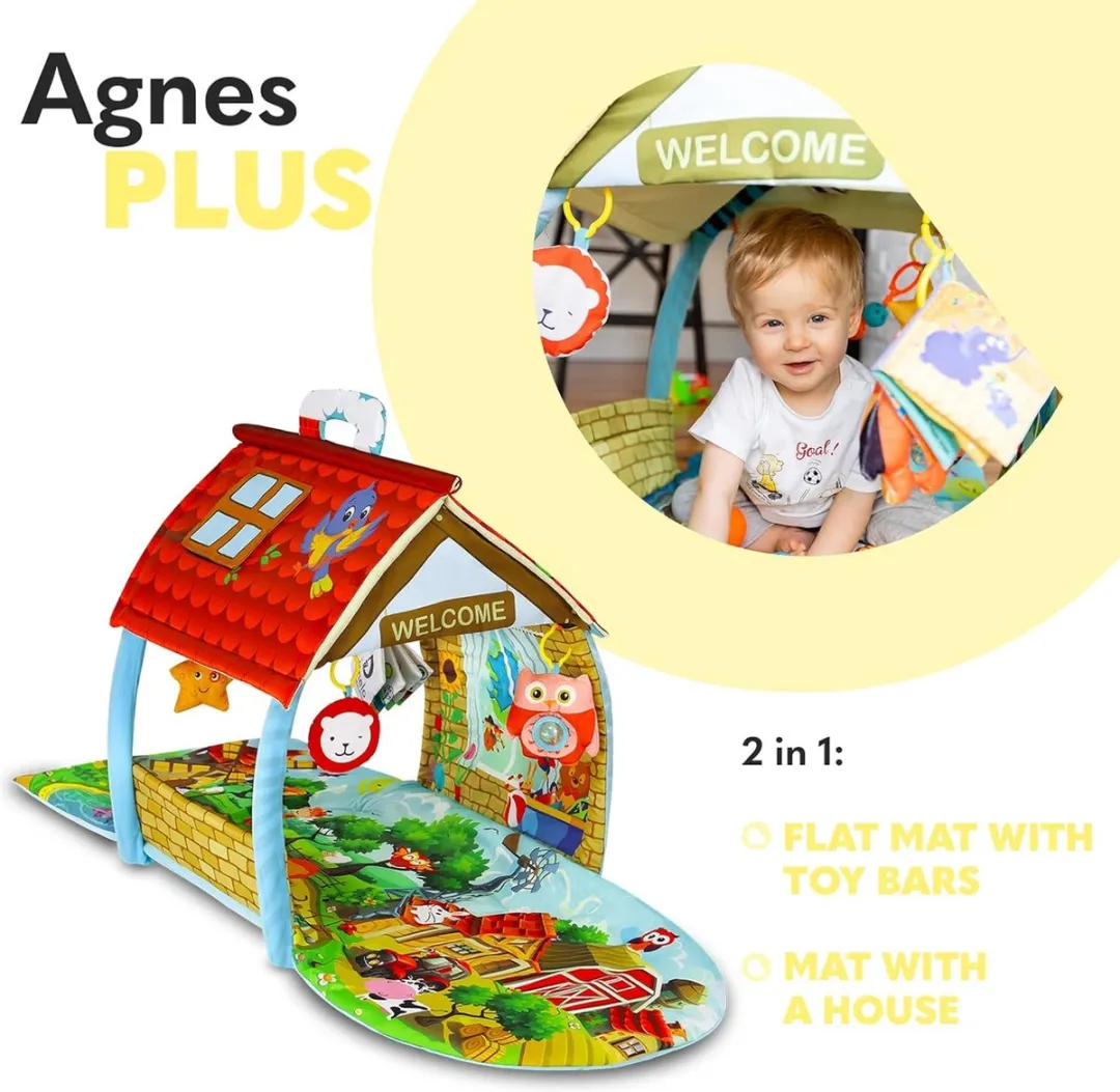 Lionelo Agnes Plus Speelkleed 2in1 - Multicolor