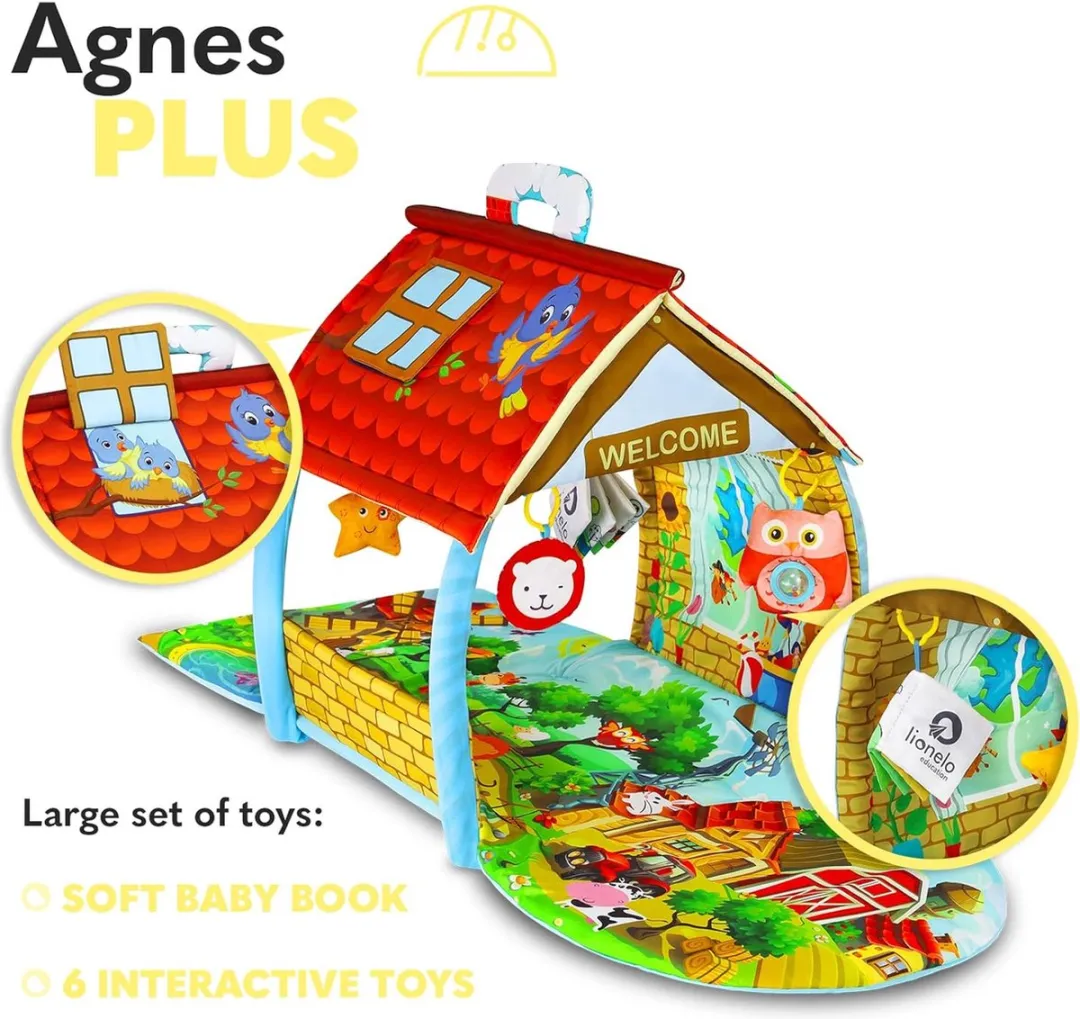 Lionelo Agnes Plus Speelkleed 2in1 - Multicolor