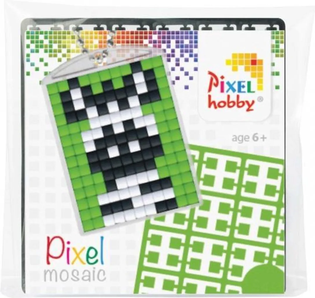 Pixelhobby Zebra Medaillon Startset