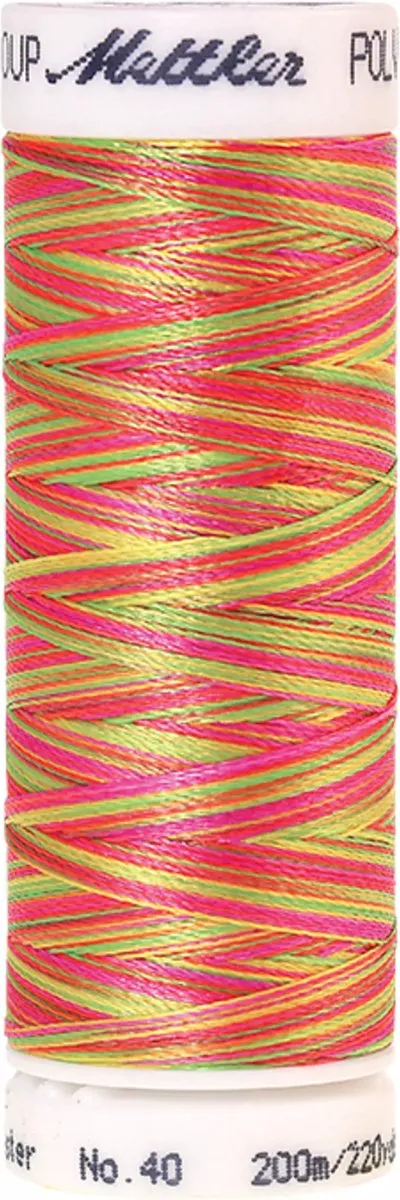 Amann Mettler Poly Multi Borduurgaren 9914 - 200m Multicolor