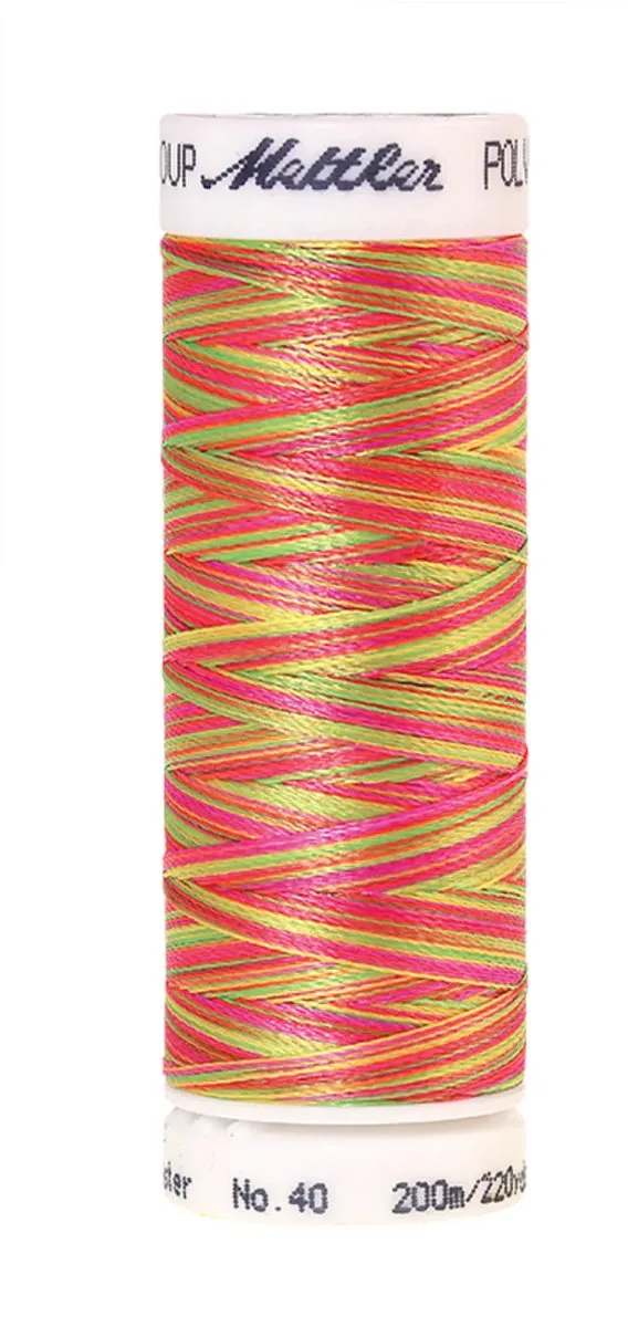 Amann Mettler Poly Multi Borduurgaren 9914 - 200m Multicolor