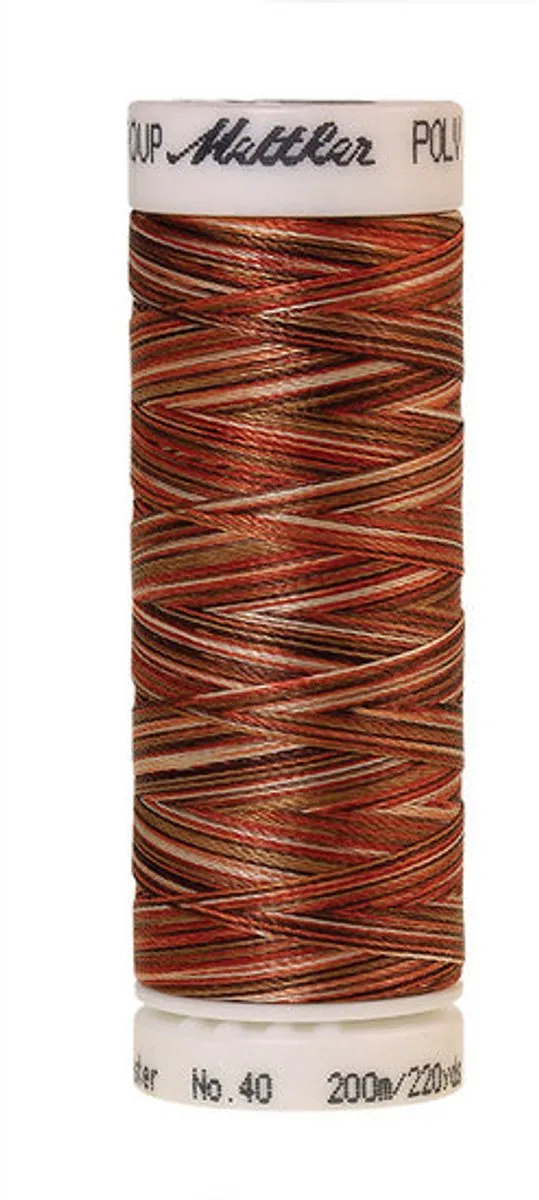 Amann Mettler Poly Multi Borduurgaren 9914 - 200m Multicolor