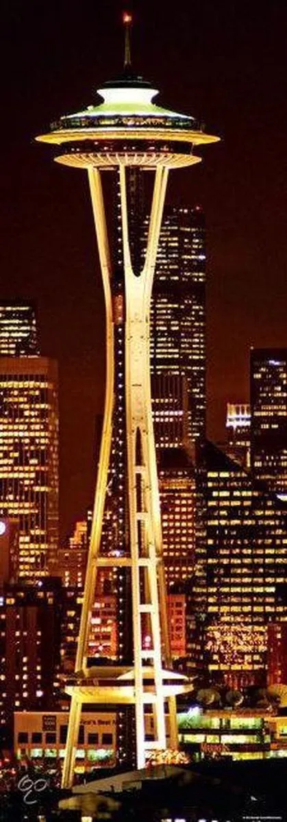 Heye Puzzel Space Needle 1000 Stuks
