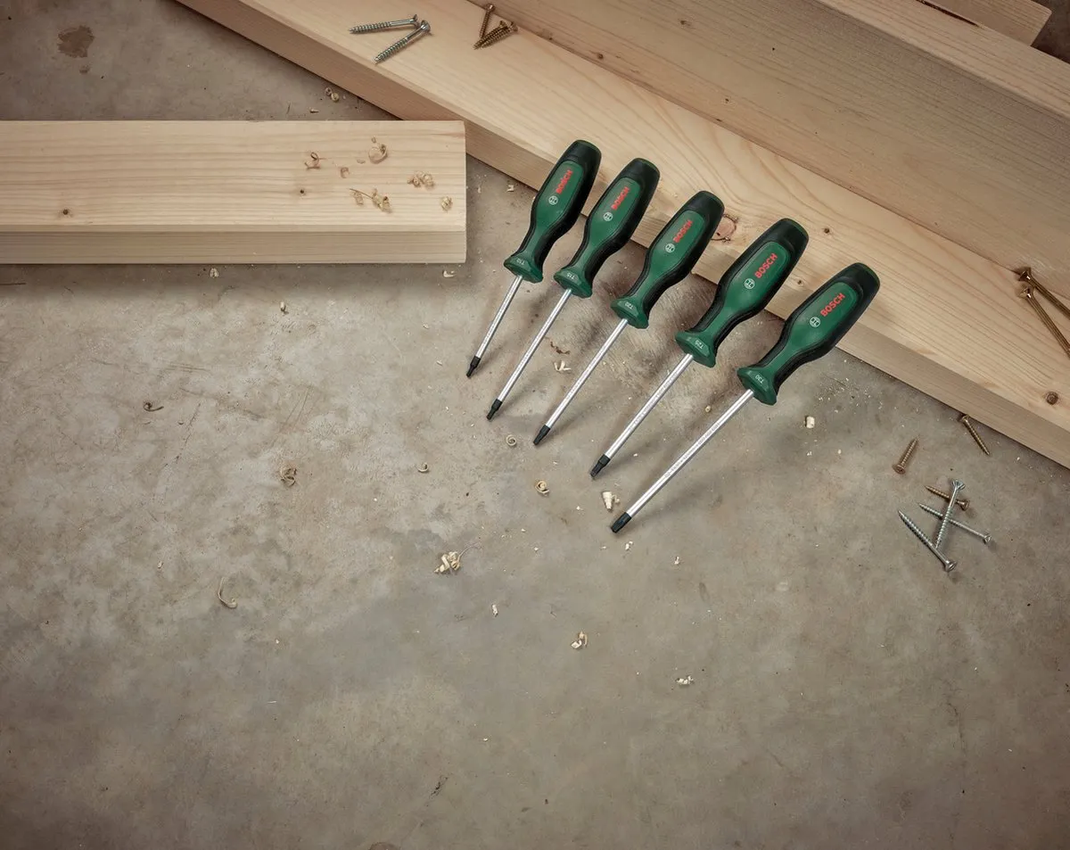 Bosch Schroevendraaierset Torx 5-delig TX10-TX30