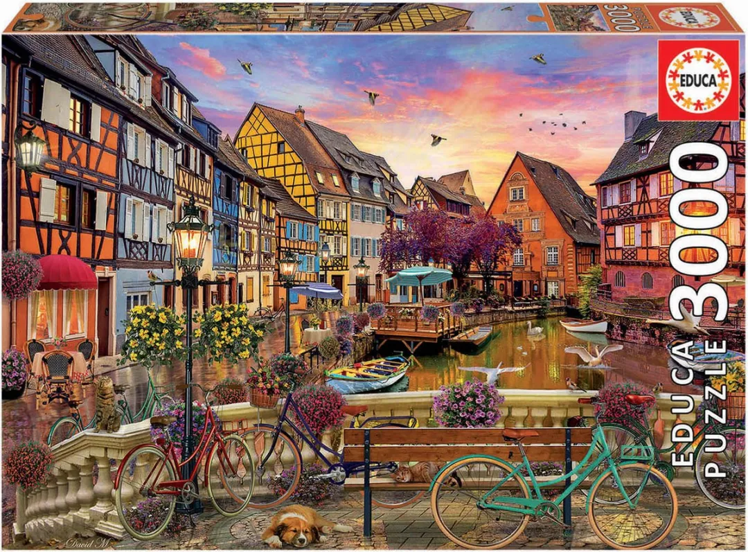 Educa Colmar Puzzel 3000 Stuks