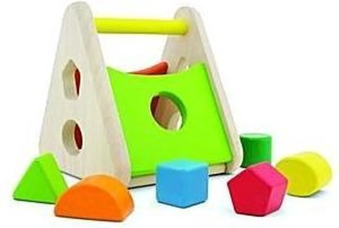 Pintoy Houten Vormenstoof - Kleurenmix