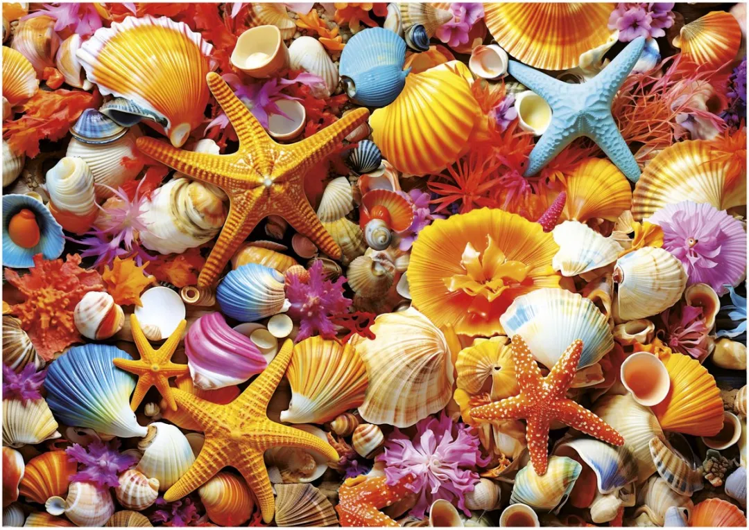 Educa Shell Collage Legpuzzel 1000 Stuks