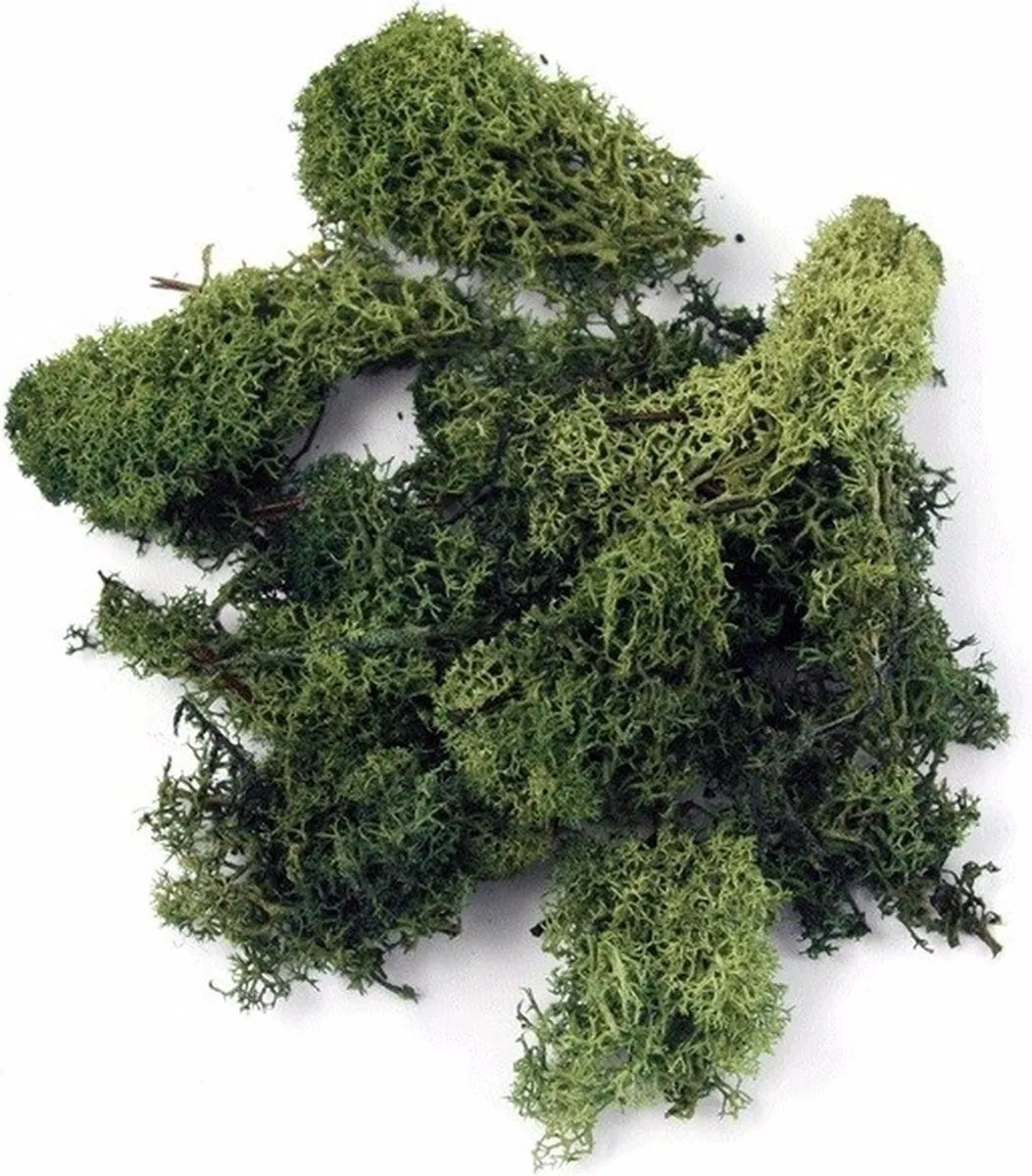 Rayher Decoratie Mos Donkergroen 100g