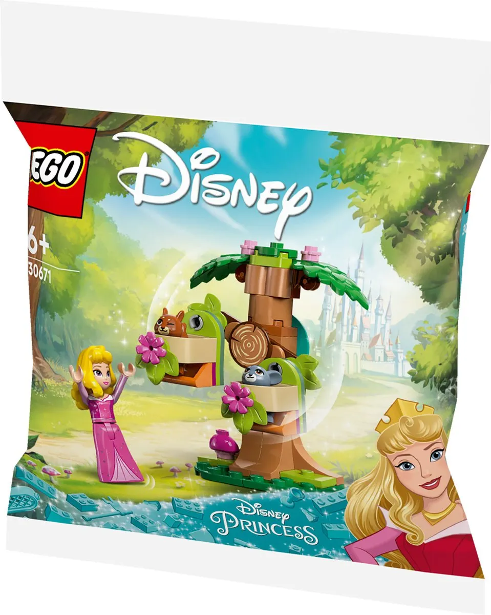 LEGO Disney Princess Aurora's Speelplek in het Bos 30671 - 60 Stukken