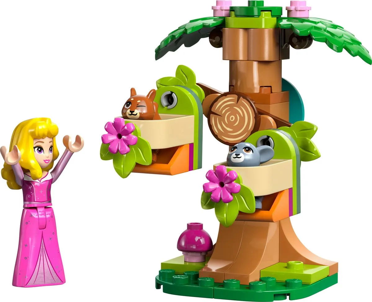 LEGO Disney Princess Aurora's Speelplek in het Bos 30671 - 60 Stukken