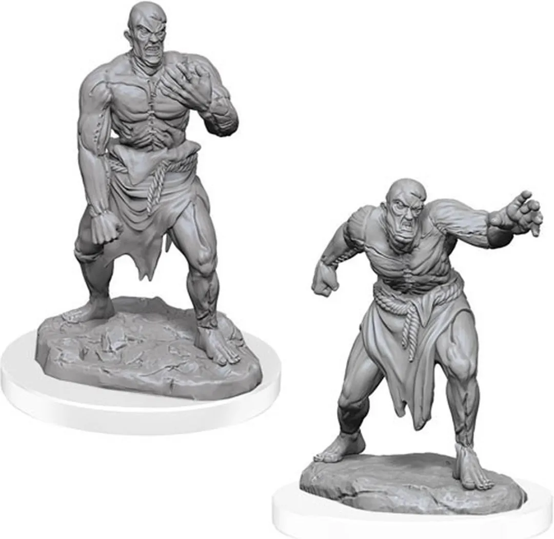 Wizkids D&D Nolzur's Marvelous Miniatures Flesh Golems 2 - Grijs