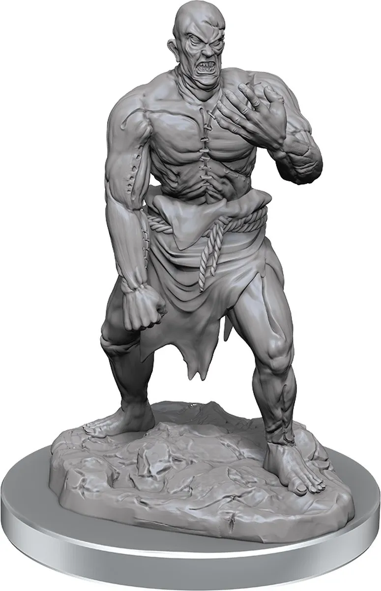 Wizkids D&D Nolzur's Marvelous Miniatures Flesh Golems 2
