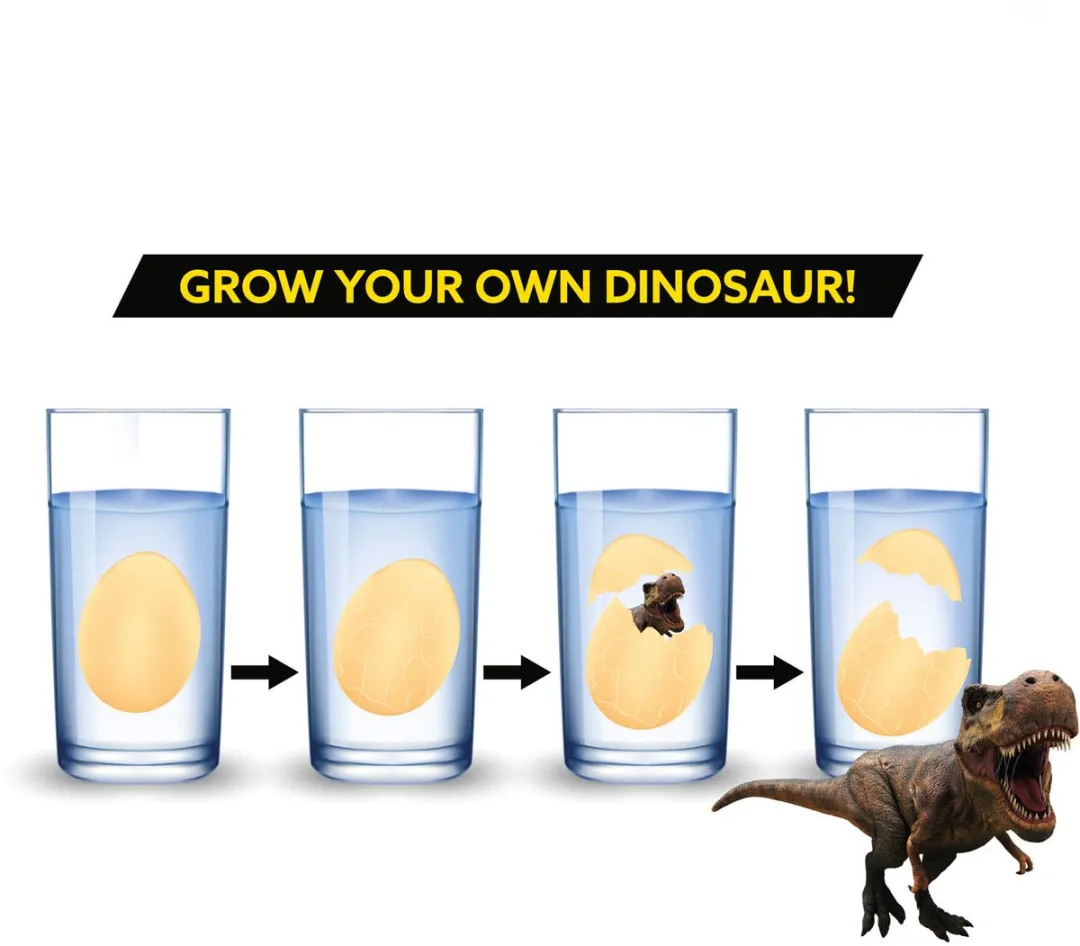 Toi-Toys Groei-ei Dinosaurus - Assorti