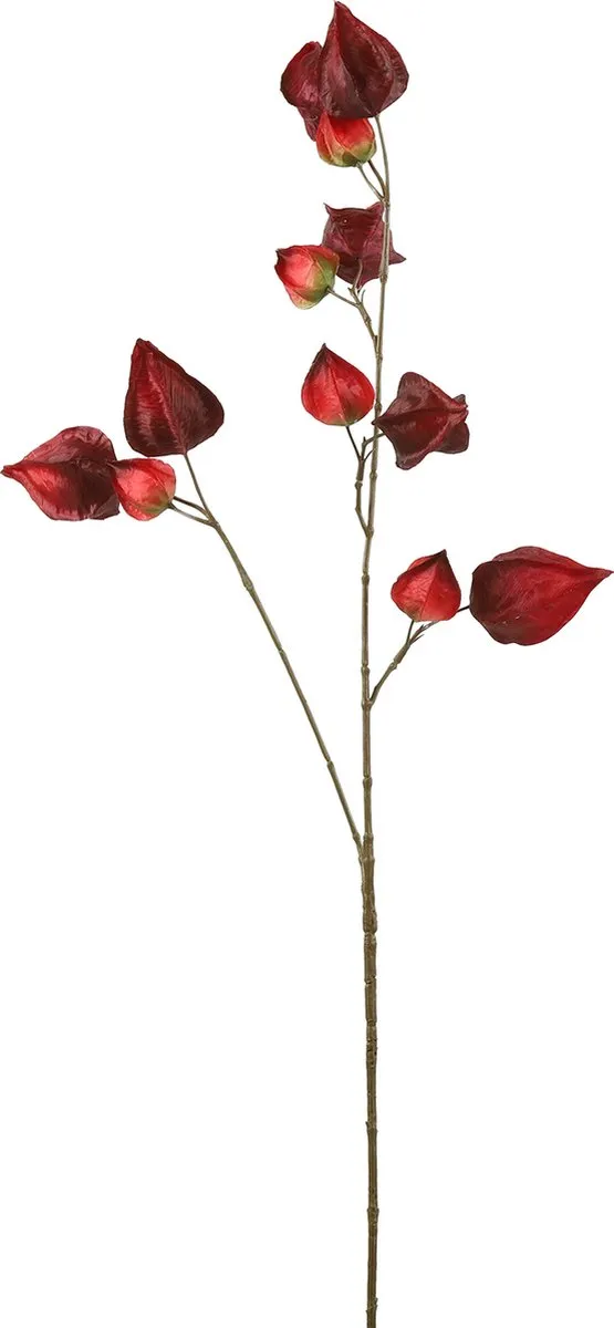 Countryfield Physalis Kunstbloem 95cm