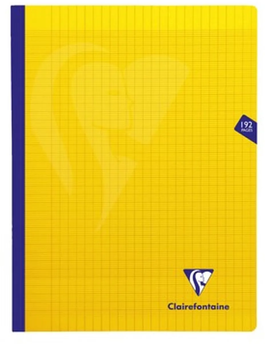 Clairefontaine Geruit Schrift 24,5x32cm