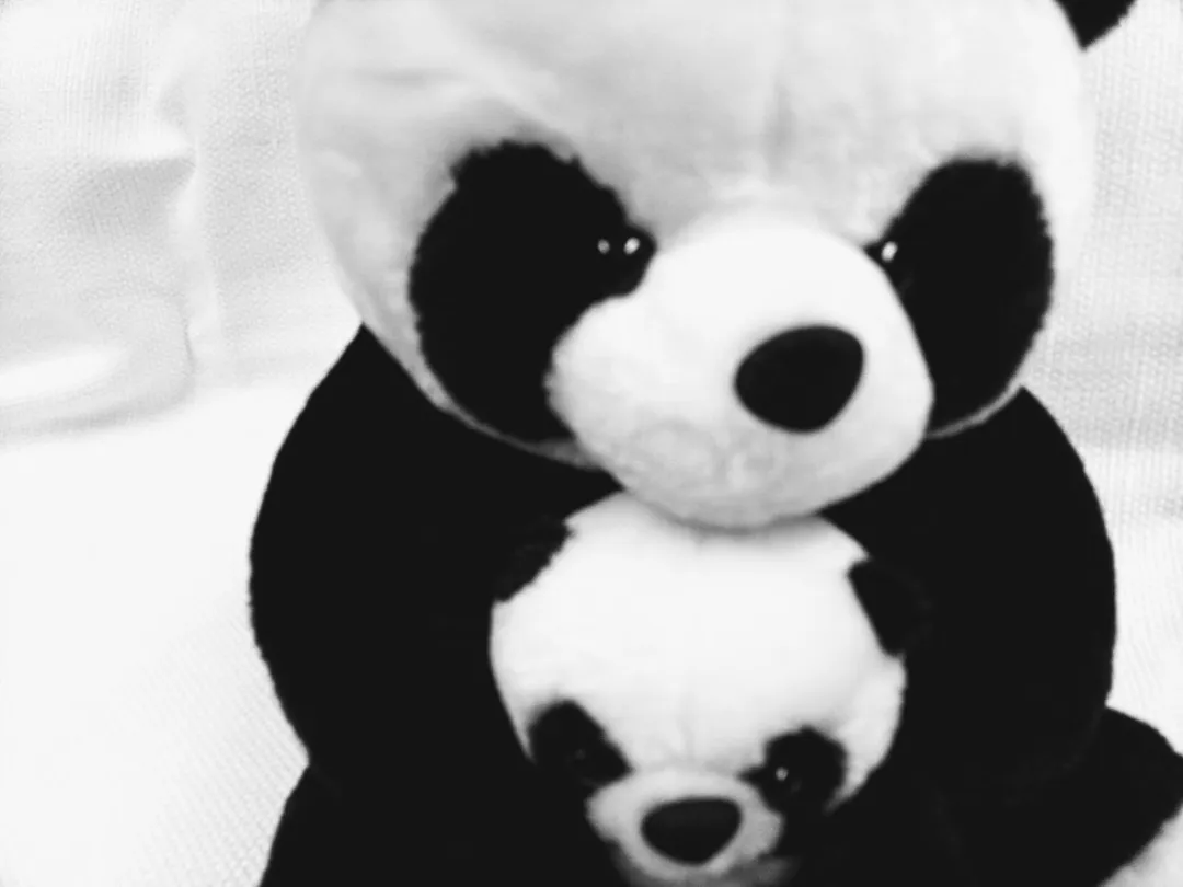 VDTOYS Knuffel Panda 24cm - Zwart/Wit