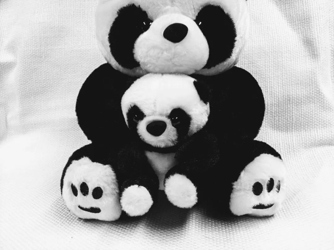 VDTOYS Knuffel Panda 24cm - Zwart/Wit