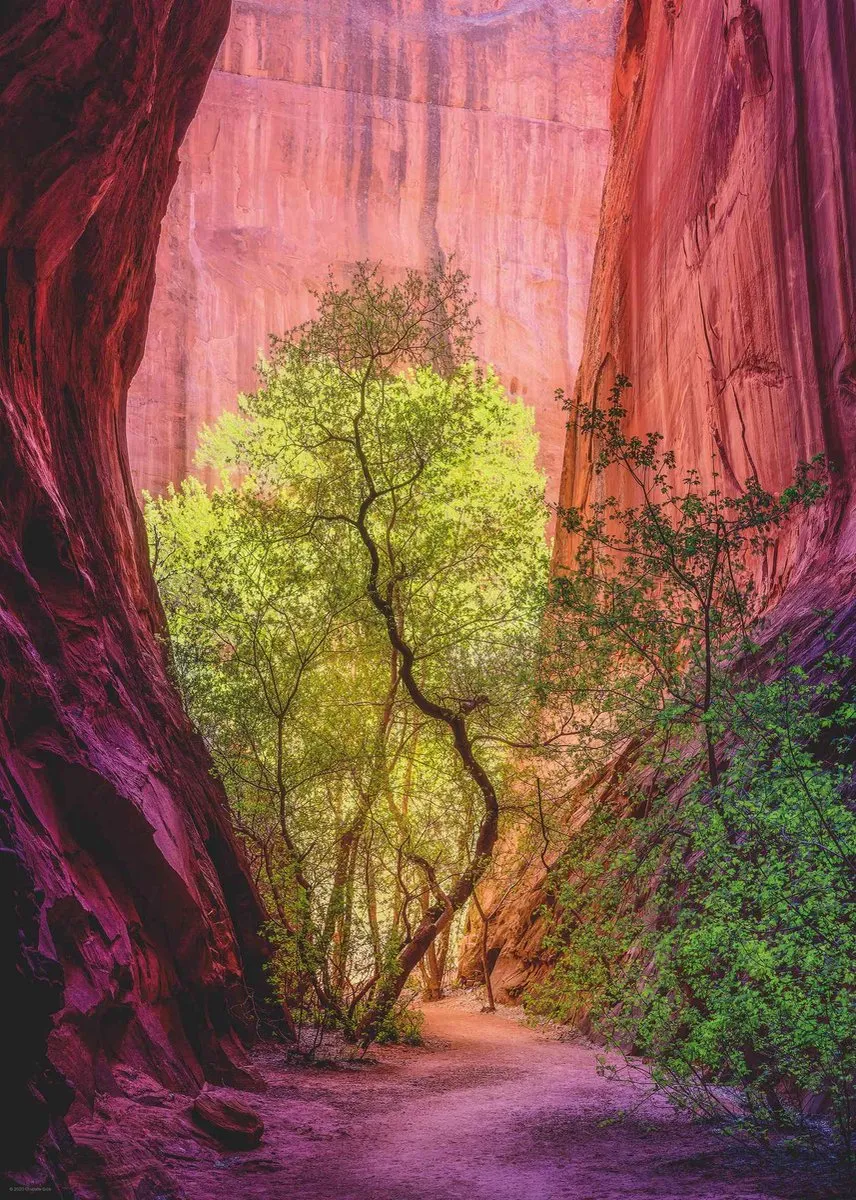 Heye Singing Canyon Legpuzzel 1000 Stuks - Multicolor