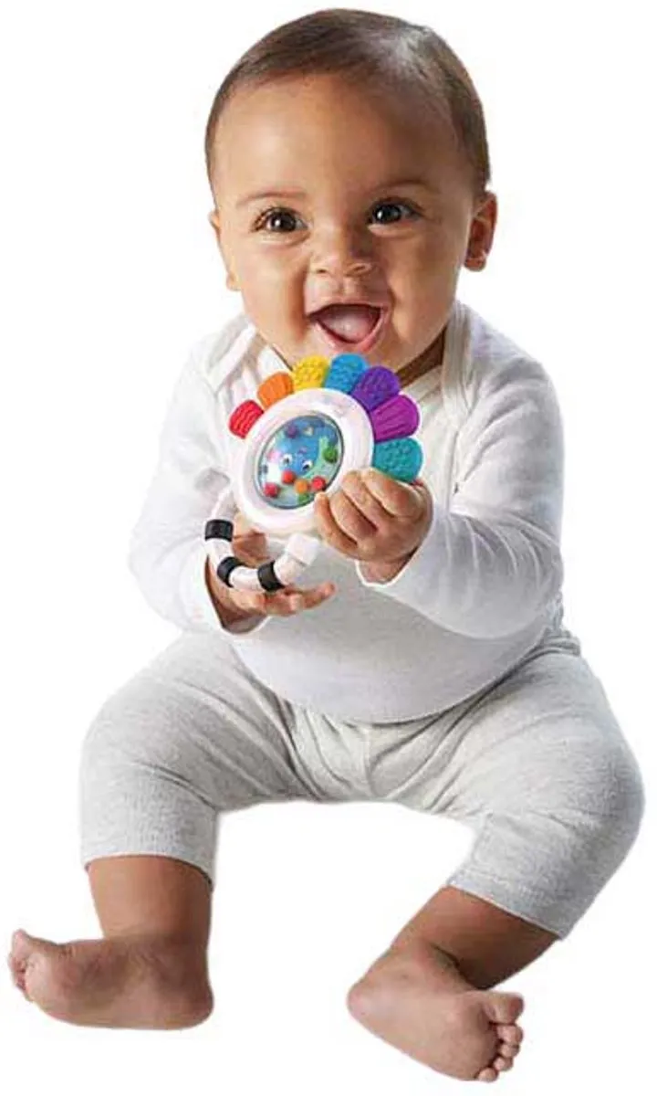Baby Einstein Opus Rammelaar Multicolor