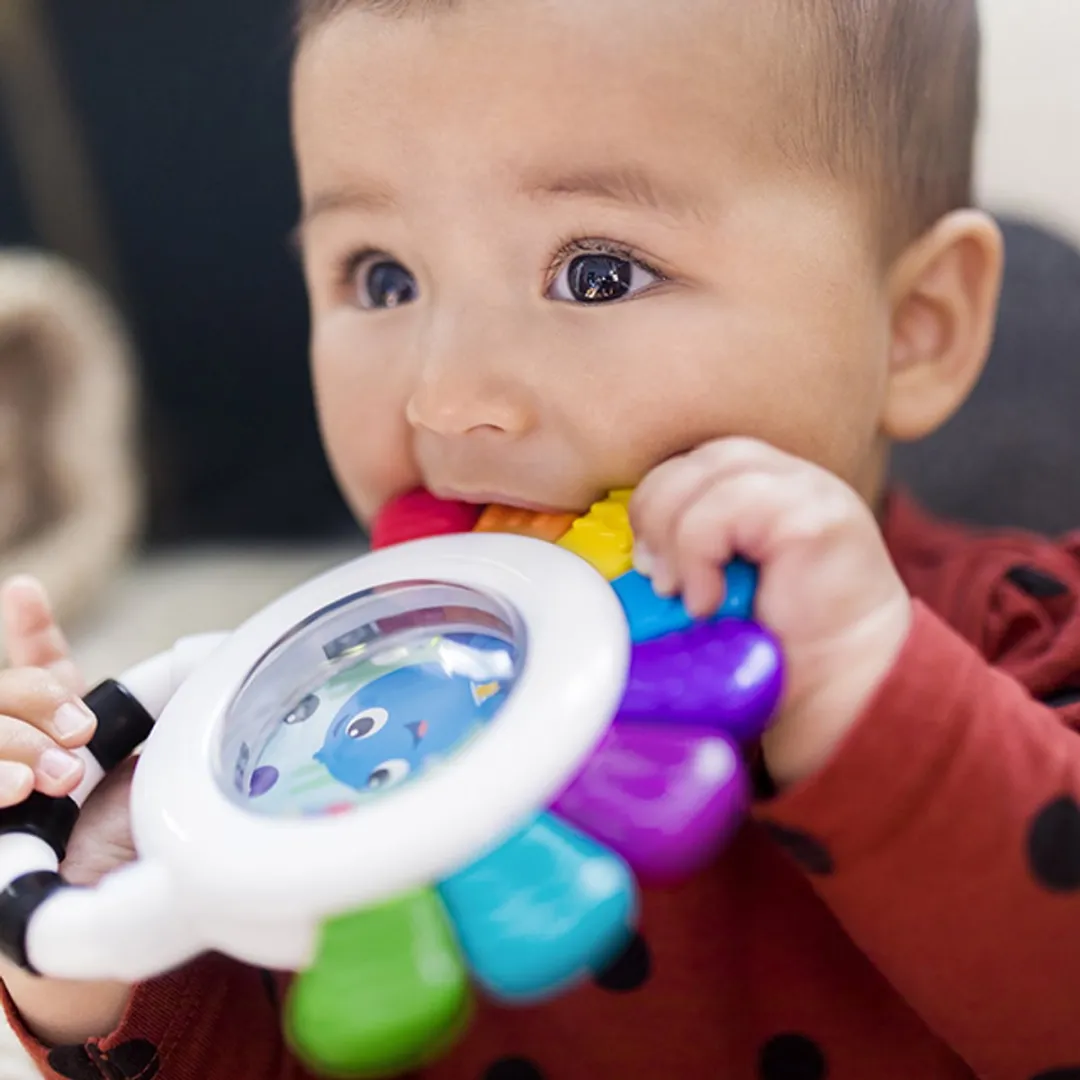 Baby Einstein Opus Rammelaar Multicolor